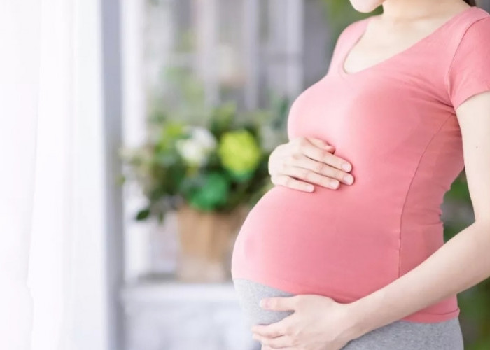 Anti Mual & Segar! 5 Menu Takjil Trimester Pertama agar Puasa Ramadhan 2026 Tetap Nyaman