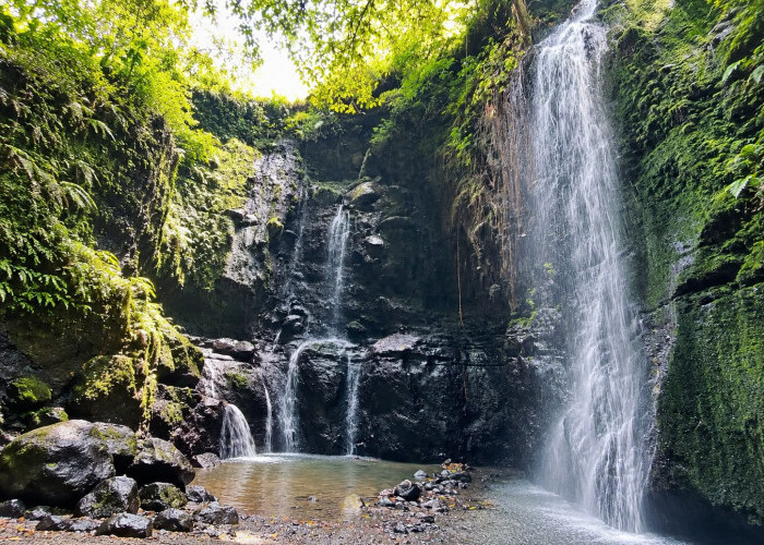Tersembunyi di Leuwisari Tasikmalaya, Curug Pamutuh Suguhkan Pesona Air Terjun di Tengah Alam Hijau Memukau