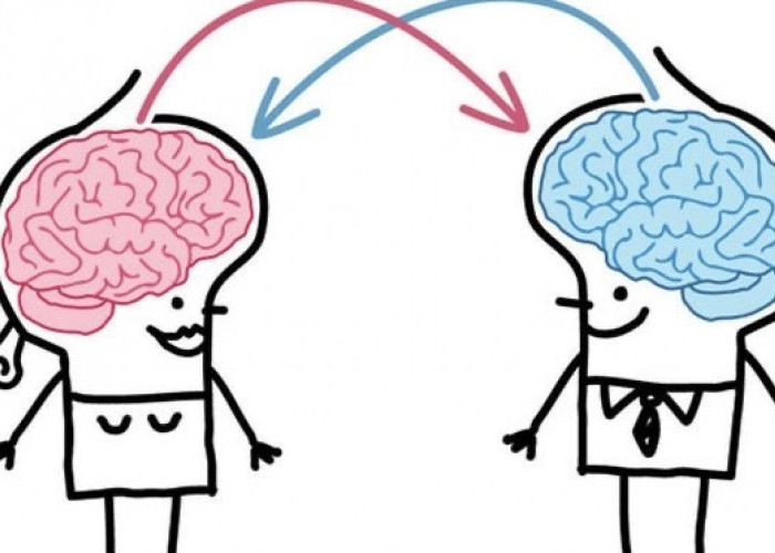 Fakta Sains: Apa Sebenarnya yang Membedakan Otak Laki-laki dan Perempuan?