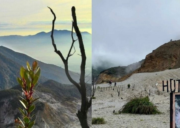 Gunung Papandayan: Surga Tersembunyi di Tanah Garut, Cocok Dikunjungi oleh Pendaki Pemula