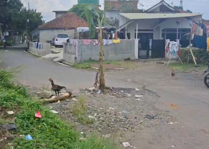 Perbaikan Jalan Rusak di Sambongpari Harus Libatkan BBWS, Sebelum Perbaikan Jalan Harus Perbaiki Sifon