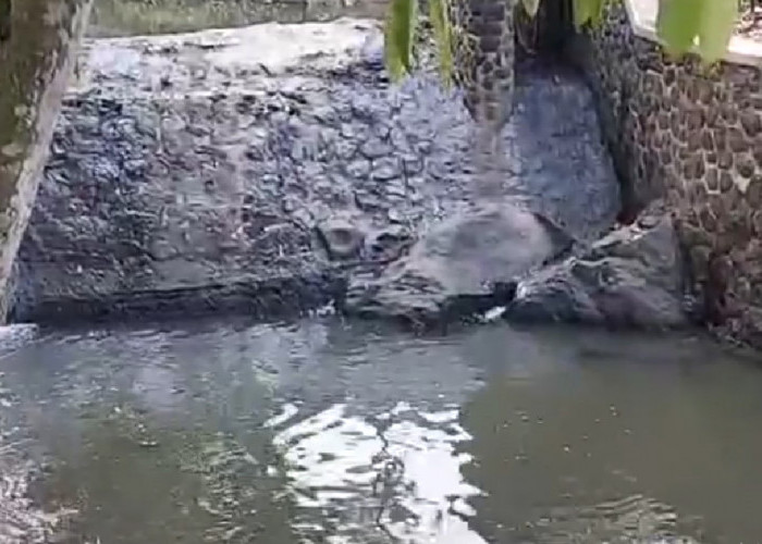 Diduga Tidak Bisa Berenang, Seorang Bocah Tewas Tenggelam Saat Mandi Bersama Temannya