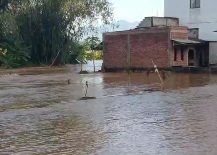 Banjir Luapan Sungai Citanduy Rendam 4 Desa di Ciamis, Ratusan Kepala Keluarga Mengungsi de Rumah Tetangga 