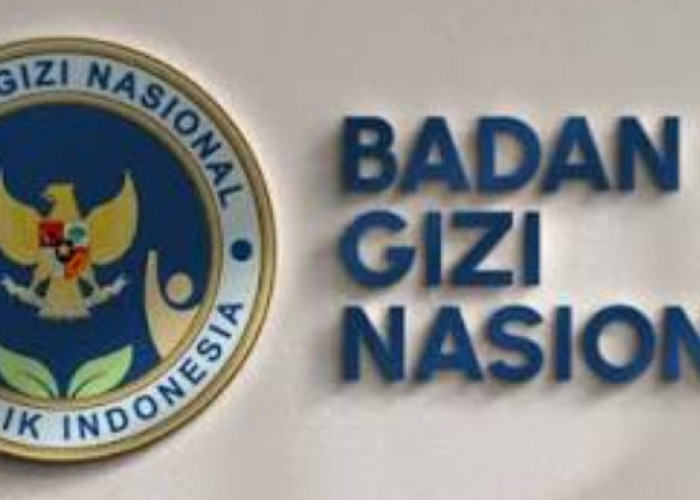 Kesempatan Emas di Badan Gizi Nasional: Mengapa Posisi Inspektorat Utama BGN Jadi Incaran Pencari Kerja 2026