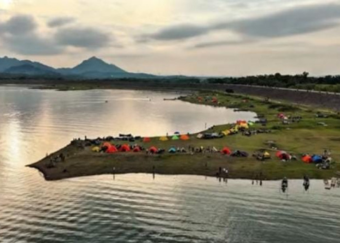 Jangan ke Purwakarta Sebelum Baca Ini! Rahasia 'Hidden Gem' di Tengah Hutan Jati yang Lagi Viral