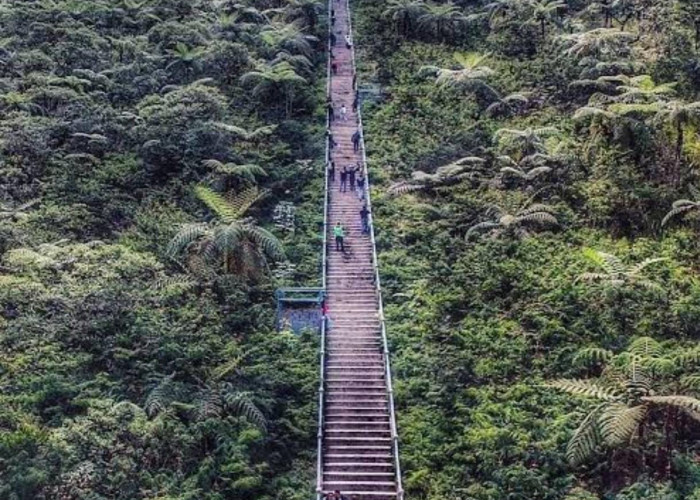 Di Balik 620 Anak Tangga: Menemukan Kedamaian di Puncak Kawah Galunggung