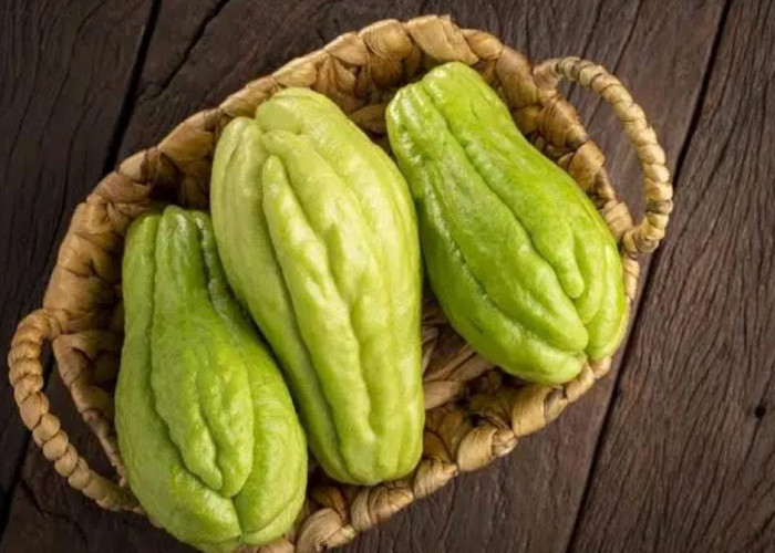 Mitos atau Fakta? Rebusan Labu Siam Diklaim Bisa Membersihkan Ginjal, Ini Penjelasan Dokter