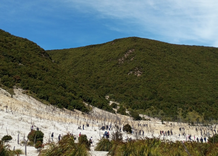 Gunung Papandayan Garut: Pesona Kawah, Hutan Mati, dan Panorama Pegunungan yang Memukau