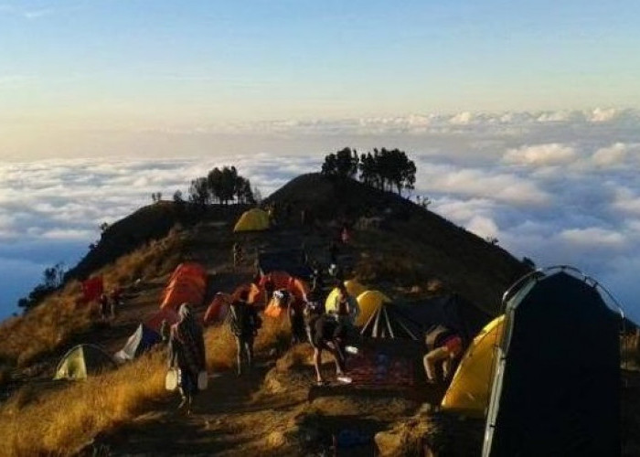 5 Tempat Ini Bisa Jadi Pilihan Terbaik Rayakan Pergantian Malam Tahun Baru Di Puncak Gunung