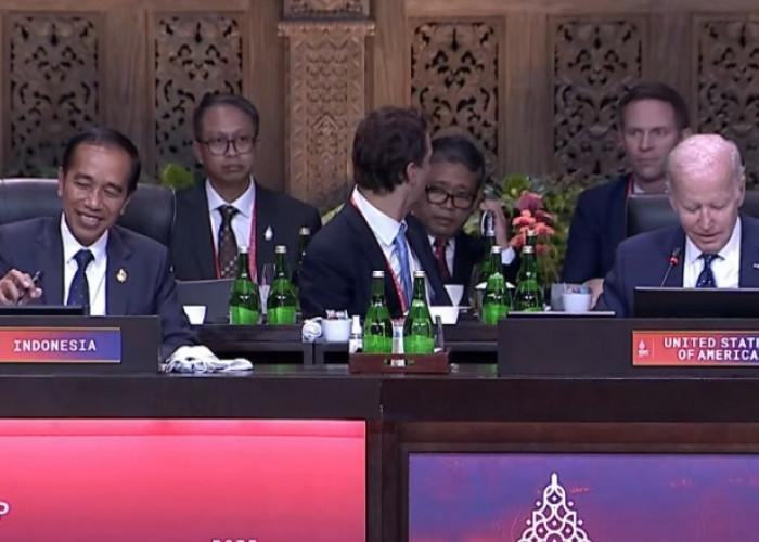 Kepemimpinan Global: Jejak Keberhasilan Indonesia dalam Presidensi G20 dan Keketuaan ASEAN