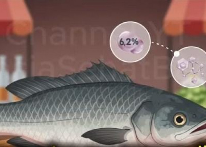 Rahasia Lutut Kuat Tanpa Suntik Mahal: Cukup Konsumsi 8 Ikan Murah dari Pasar Tradisional