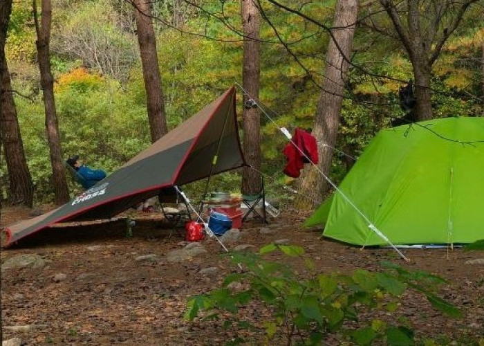 Awas Jangan Lakukan Ini Saat Solo Camping, Pemula Wajib Baca