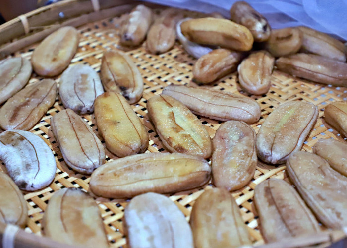 Sale Pisang, Camilan Tradisional yang Cocok Jadi Buah Tangan