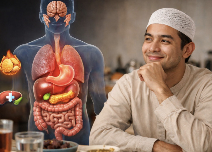 Jangan Kaget, Ini yang Terjadi pada Organ Tubuh Saat Puasa Ramadan