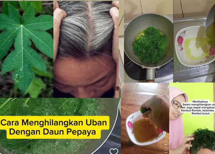 Tips Menghilangkan Uban dengan Daun Pepaya, Begini Caranya!