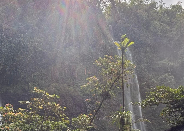Curug Ciparay, Air Terjun Kembar Setinggi 70 Meter di Tasikmalaya