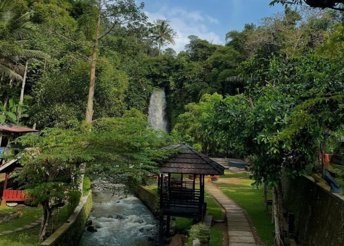 Update 2026: Curug Bangkong Kuningan Pesona Air Terjun Alami dengan Tiket Terjangkau