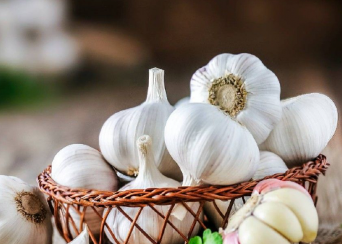 Jarang Disadari, Ini Manfaat Bawang Putih Mentah Menurut dr. Saddam Ismail