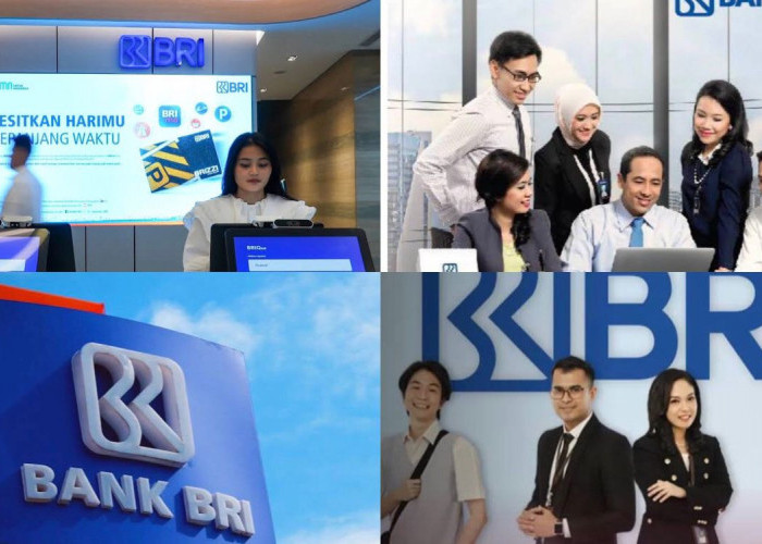 Bank BRI Buka Lowongan Kerja 2024, Cek Beberapa Posisi Yang Dibutuhkan