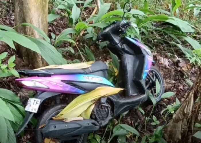 Sepeda Motor Ditinggal di Kebun Ternyata Hasil Curian, Pemilik Ngaku Kehilang Pada 30 Desember  2024 