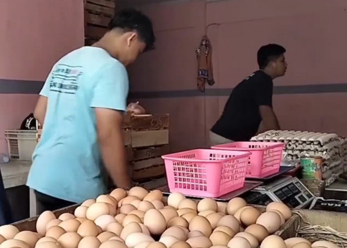 Harga Telur di Pasar Banjar Capai Rp 31 Ribu Per KG, Kenaikan Harga Bikin Sepi Pembeli