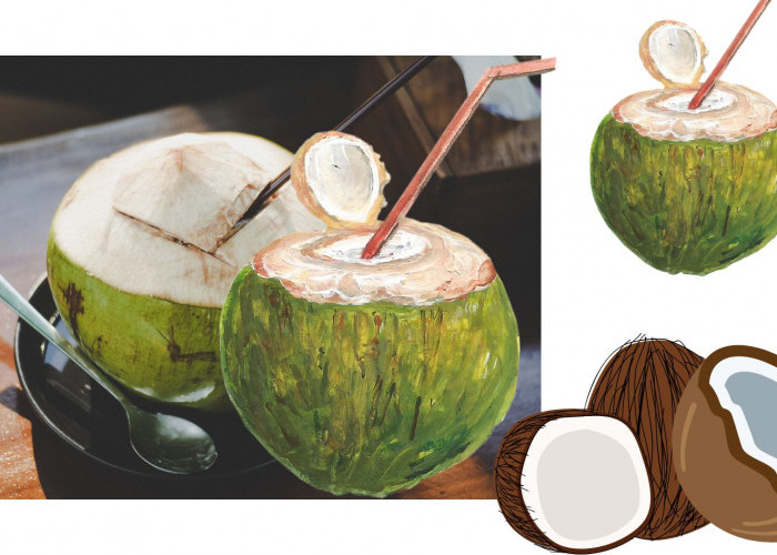 Air kelapa Muda Ampuh Netralkan Purin, Cocok Diminum Penderita Asam Urat, Begini Penjelasannya