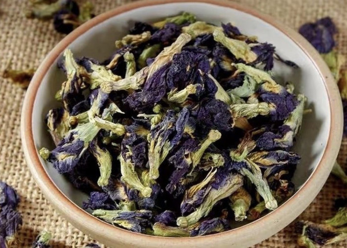 Bunga Telang Bukan Cuma Cantik, Ini 12 Manfaatnya untuk Tubuhmu