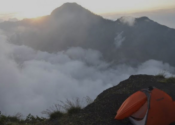 Solo Camping Jadi Tren Baru di Indonesia, Khusus Pemula Persiapkan Hal Ini Jika Kamu Ingin Mencobanya