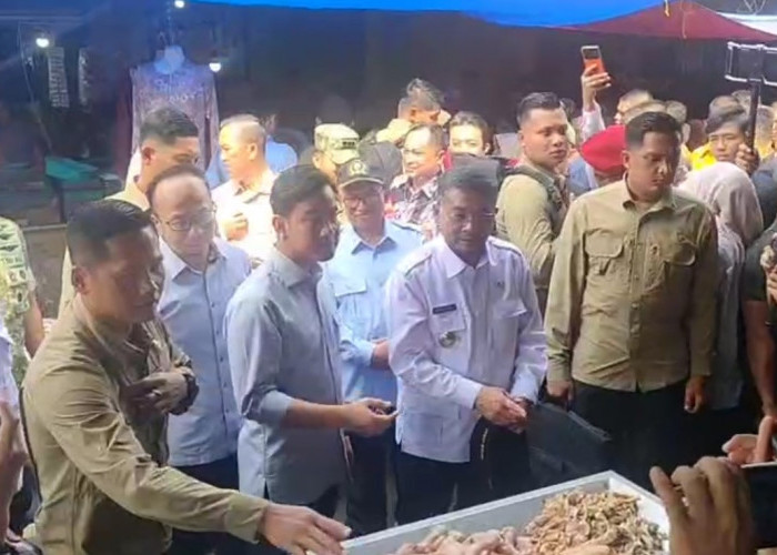 Wapres Gibran Serap Aspirasi Masyarakat Kota Tasikmalaya, Sambangi Pasar, Rumah Sakit Hingga Cek MBG