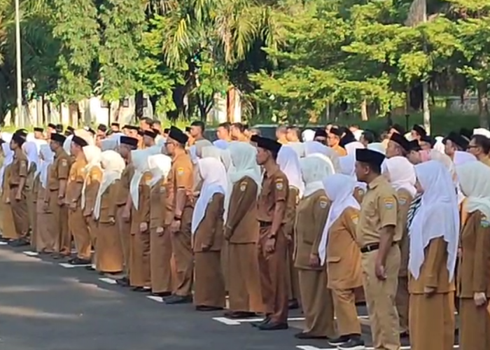 71 ASN di Lingkungan Pemkab Tasikmalaya Purna Tugas, Pemkab Lakukan Regenerasi Isi Kekosongan ASN