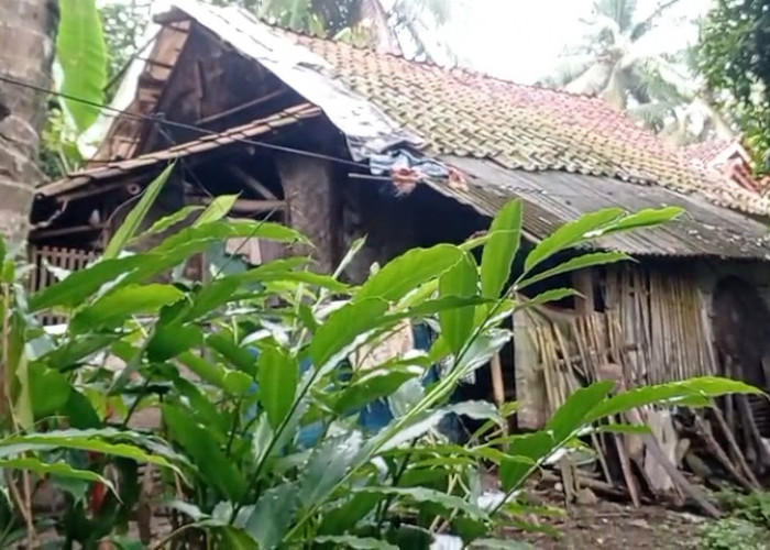 Sudah 5 Bulan, Warga Tamansari Tinggal di Tenda Darurat Akibat Rumah Miliknya Rusak Berat dan Nyaris Ambruk