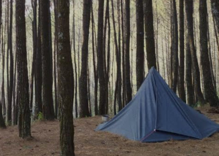 Kisah Mistis Solo Camping Dari Bukit Moko, Terdengar Langkah Orang, Saat Dilihat Ternyata....