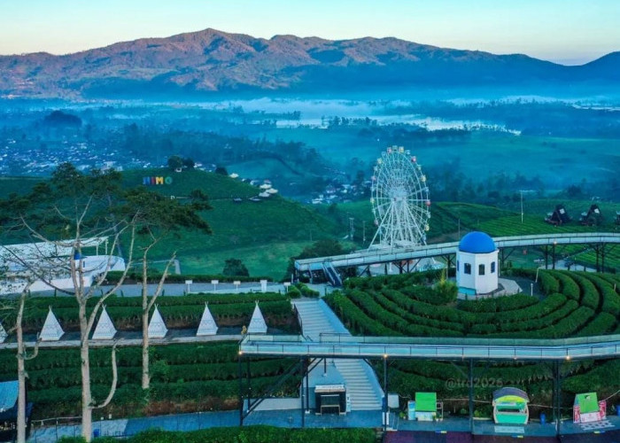 Nimo Highland Pangalengan Update 2026, Wisata Kelas Internasional dengan Promo Spesial Bulan Februari 