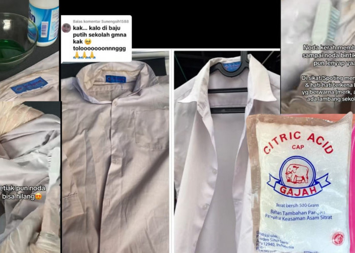 Cara Mengembalikan Warna Baju Putih yang Menguning, Gak Perlu Beli Pemutih Cukup 2 Campuran Bahan Ini
