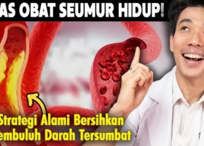 Cara Alami Bersihkan Sumbatan Pembuluh Darah: Ternyata Bukan Cuma Soal Diet!
