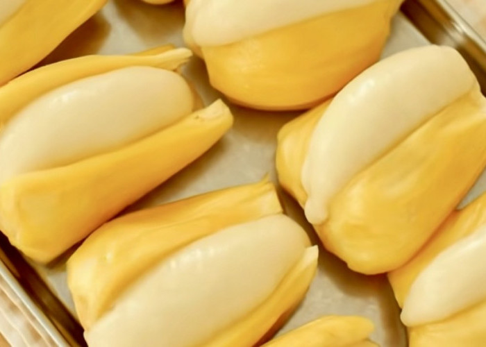 Nangka Ketemu Mochi? Ternyata Enaknya Bikin Nagih dan Cocok Jadi Ide Jualan!