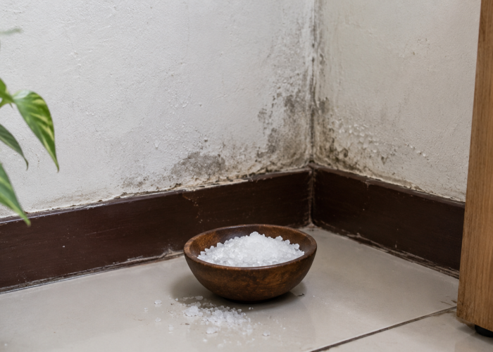 Garam di Sudut Rumah, Benarkah Bisa Menyerap Kelembapan?