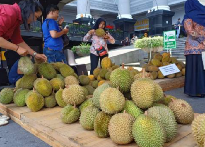 Anti Gagal! Rahasia Jitu Memilih Durian Legit Manis Langsung dari Lapak