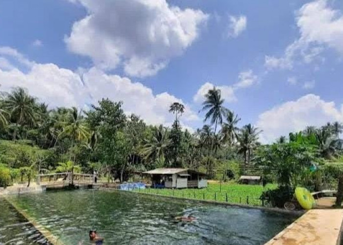 Panduan Lengkap Ke Mata Air Cimincul: Tiket Murah, Air Jernih, Dan Suasana Yang Menenangkan