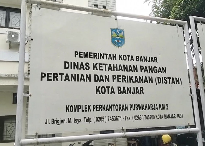 75 Proposal Bantuan Benih Ikan Direalisasikan Tahun 2025, Sisanya Didistribusikan Pada 2026