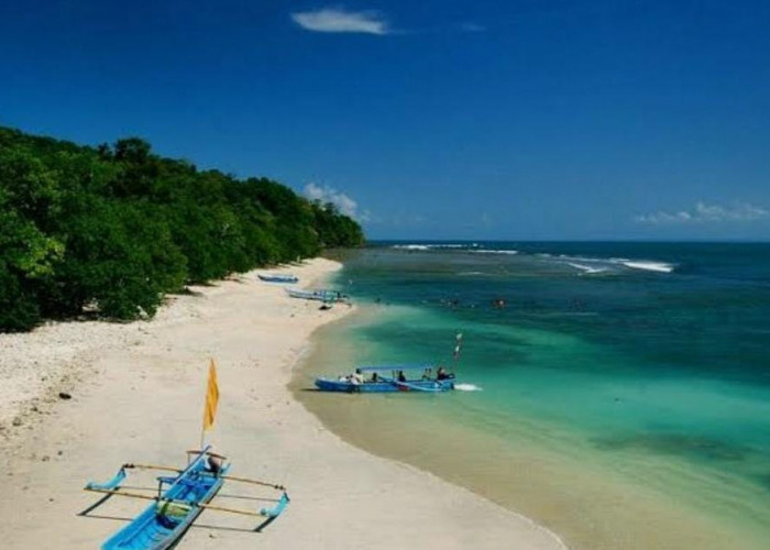 Surga Tersembunyi di Pantai Pangandaran: Keindahan Alam yang Bikin Susah Pulang