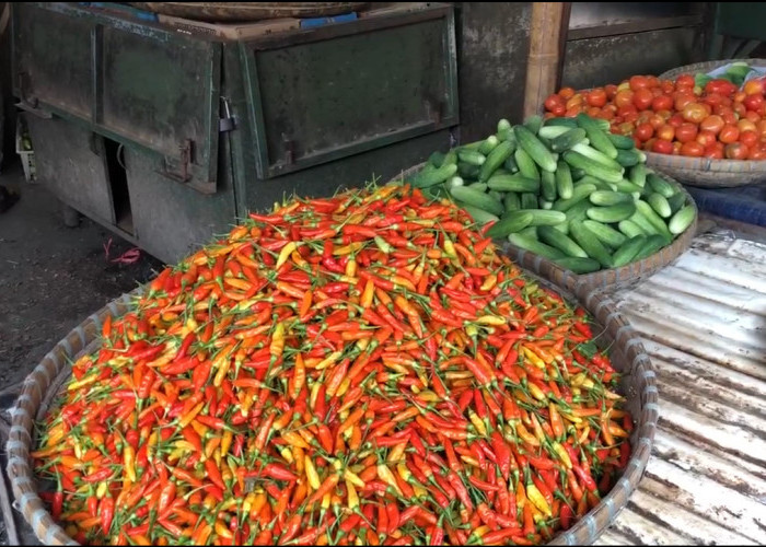 Harga Cabe Rawit Di Pasar Cikurubuk Makin Pedas, Kenaikan Harga Hingga Dua Kali Lipat