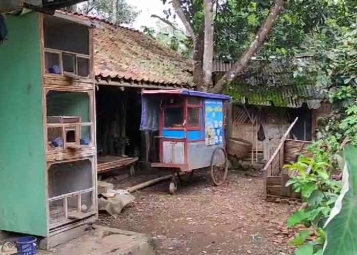 Pedagang Cireng Tega Cabuli Siswi SD di Purbaratu, Pelaku Tinggal Sejak 4 Bulan Lalu di Gubuk Milik Warga 