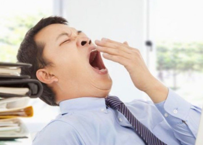 Stop Begadang! Inilah 5 Ancaman Kesehatan Serius Menurut Kemenkes