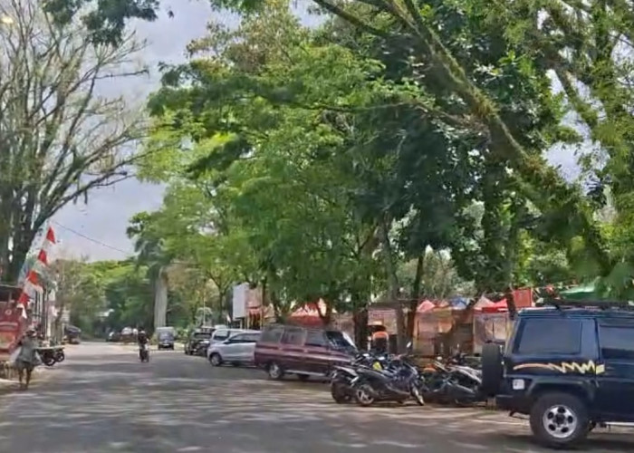 Soal Menata Dadaha, Budayawan Nilai Pemkot Tasikmalaya Terlalu Banyak Rapat, Publik Menunggu Pelaksanaan