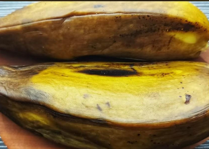 Penderita Maag dan GERD Wajib Tahu, Ini 8 Makanan Aman untuk Lambung