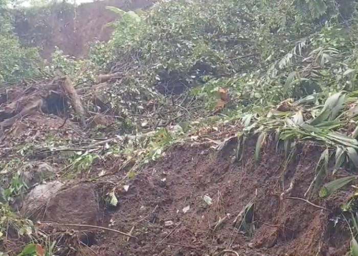 Longsor tebing 30 meter tutup akses dua kecamatan Material sulit dievakuasi, perlu alat berat kecil