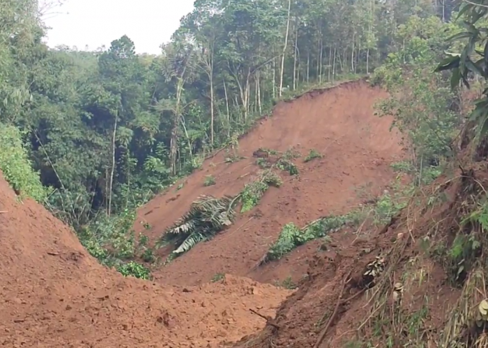 WABUP Tasikmalaya Usulkan Reboisasi Massal Pascalongsor, Lahan Miring Akan Dijadikan Areal Konservasi