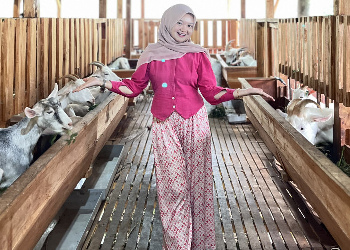 Muda, Beda, dan Berdaya, Gen Z Sukses Bangun Bisnis Peternakan Domba Perah, Omset Harian jadi Passive Income