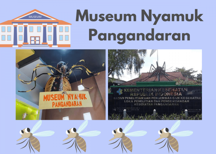 Museum Nyamuk Pangandaran, Destinasi Wisata Unik dan Edukatif yang Hanya Ada Satu Di Indonesia